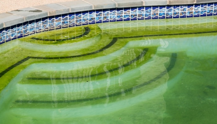 don't build a pool don't build a pool